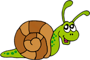venice friends club_snail_home_logo